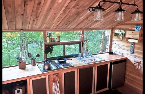 Packwood Cabin | Nanook's Retreat- Pet & Kid Friendly Rustic Cabin w/AC and WIFI