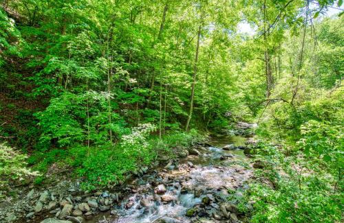 Wesser House | Nantahala Creek House