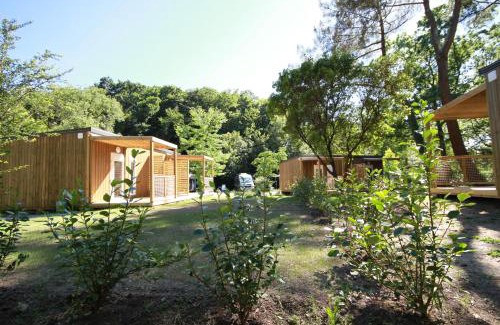 Pont du Cens-Cote d'Or Other | Nantes Camping Le Petit Port