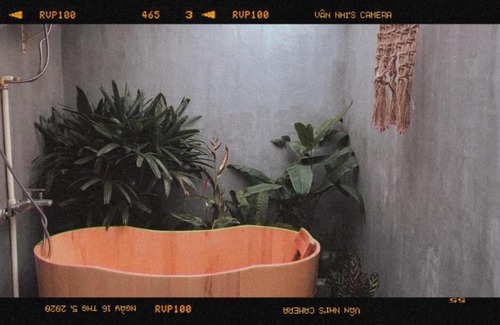 Phuong House | Napi Farmstay Dalat