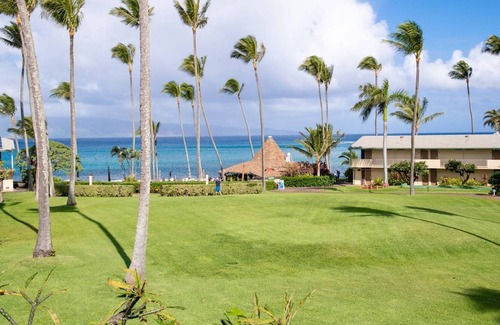 Napili Condo | Napili Shores F-147 - Looking for some Aloha - Last Minute Special