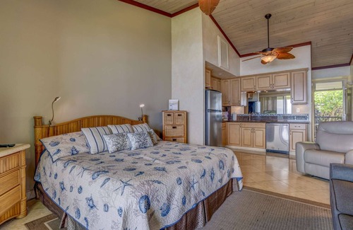 Napili Condo | Napili Shores I-273 - Direct Oceanfront - Upgraded with A/C and King-size Bed