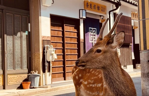 Nara House | Nara-Ryokan Villa West
