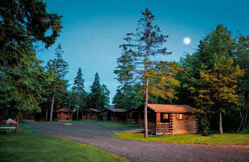 Trenton Resort | Narrows Too Camping Resort Cabin 6