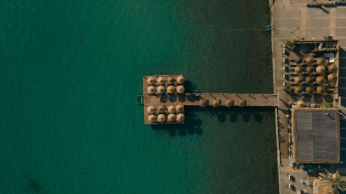 Ilica Hotel | Nars Ilica Hotel Beach Adults Only 12Plus