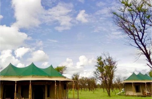 Serengeti National Park Other | Narudi Tented Camp