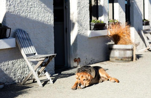 Naseby Hotel | Naseby Cottage - 24 Leven St