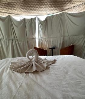 Wadi Rum Apartment | Nasem rum