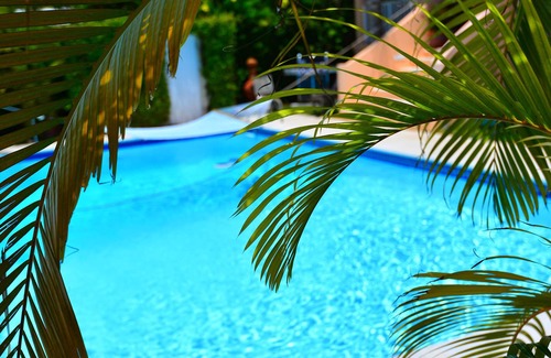Warwick Apartment | Natalia Studio & Pool - Completely Renovated + Electric Car Charger!