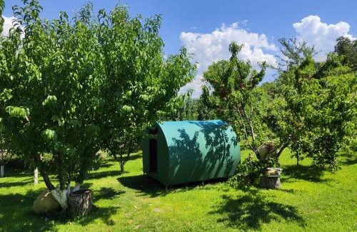 Yeghegnadzor Other | Nataly Campsite
