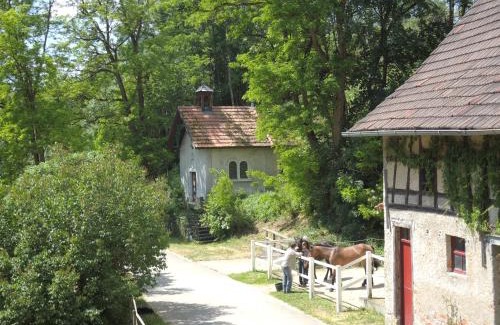 Immendingen Apartment | Natur Idylle mit Tieren in der Dachsmühle zwischen Bodensee und Schwarzwald