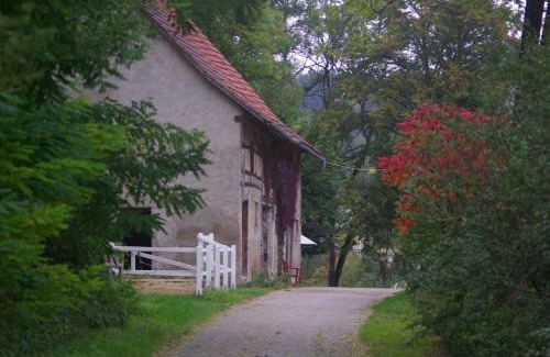 Immendingen Apartment | Natur Idylle mit Tieren in der Dachsmühle zwischen Bodensee und Schwarzwald