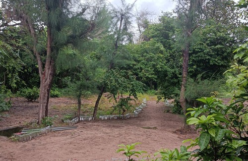 Kafountine Cabin | Natur-ubuntu Eco-lodge