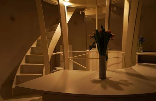 Shibuya Apartment | Natural Ellipse