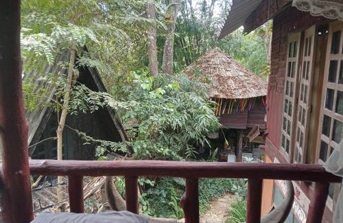 Chiang Dao Other | Natural