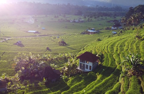 Wisma Kerta Resort | Natural View Sidemen Villas & Cottages By Supala