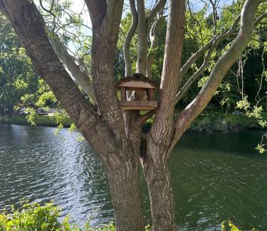Sao Tiaguinho Apartment | NATURE e SPA AL - Termas Saúde e Beleza, Totalmente Renovado - Piscinas Municipais em frente - Epoca Julho a Setembro