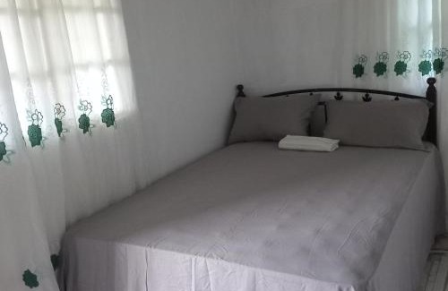Port Antonio Apartment | Nature in portland Eco Villas
