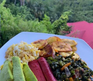 Port Antonio Apartment | Nature in portland Eco Villas