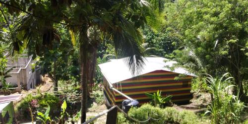Port Antonio House | Nature in Portland