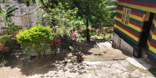 Port Antonio House | Nature in Portland