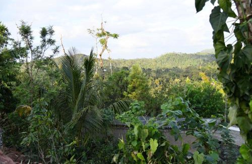 Mudigere House | Nature INN Homestay - Hill Top Mountain View & River Access
