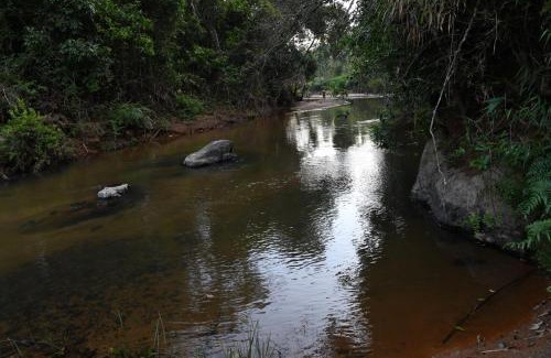 Mudigere House | Nature INN Homestay - Hill Top Mountain View & River Access
