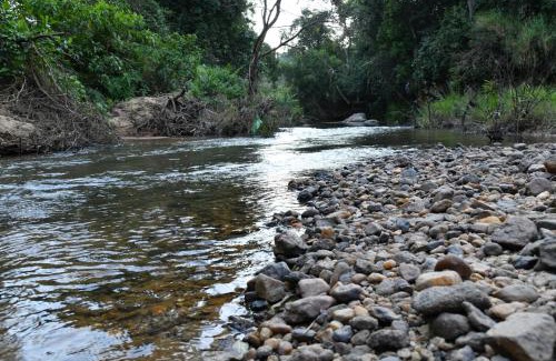 Mudigere House | Nature INN Homestay - Hill Top Mountain View & River Access