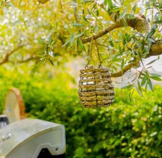 Chrisi Ammoudia Apartment | Nature Lovers-Golden Beach