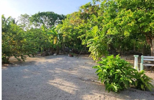 Old Man Bay House | Nature lovers paradise newly renovated