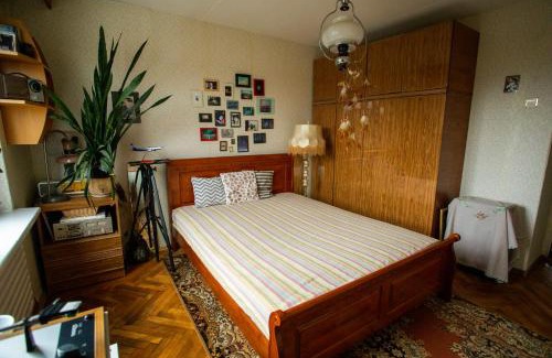 Varena Apartment | Nature lovers place