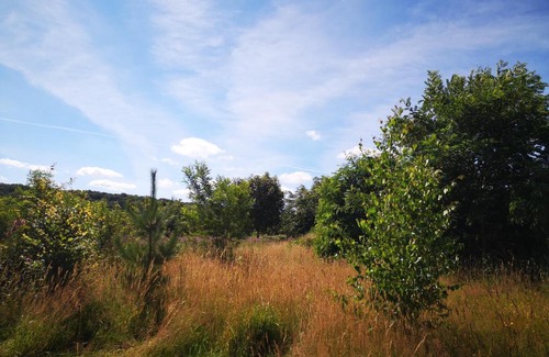 Campneuseville Other | Nature Monchy