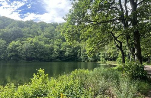 Rostanga Villa | Nature Park View