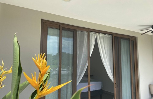 Cahuita Hotel | Nature rich home environment, minutes away from all state parks and beach towns.