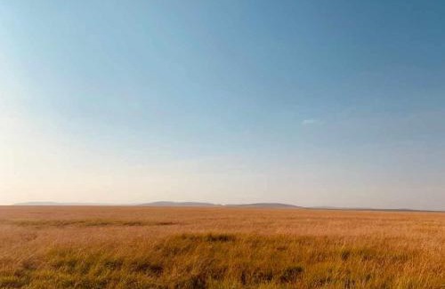 Maasai Mara Apartment | Nature's Nest Mara Camp