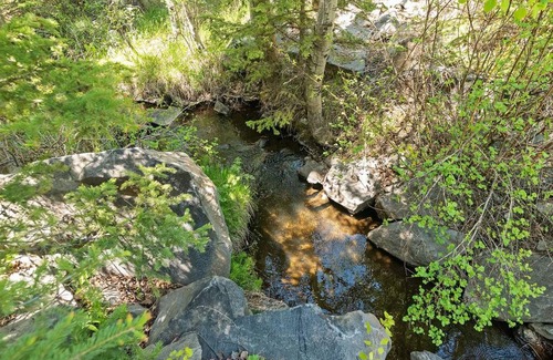 Hill City House | Nature Stay with Views Like No Where Else