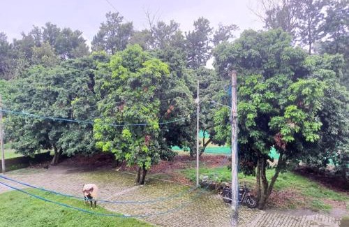 Bullawala Apartment | Nature View Homestay