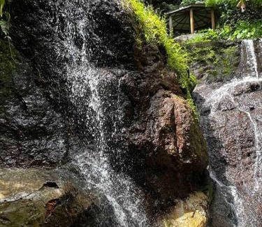 Dennery Villa | Nature World St.Lucia