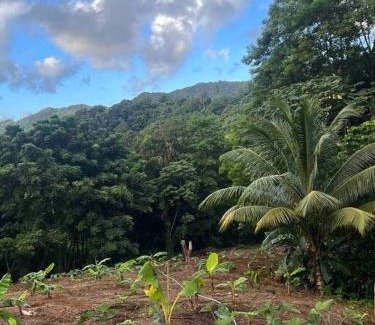 Dennery Villa | Nature World St.Lucia