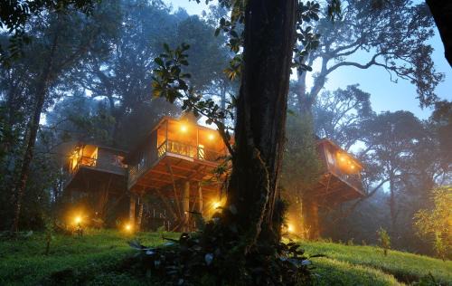 Munnar Resort | Nature Zone Jungle Resort