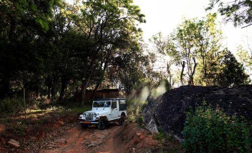 Munnar Resort | Nature Zone Jungle Resort