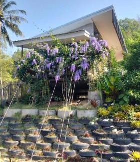 Ranong House | NatureHome RimKhlong