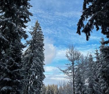 Furtwangen House | Naturfreundehaus Brend