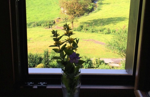 Hornberg Apartment | Naturhäusle Apartment, 45qm, 1 Schlafraum, max. 2 Personen