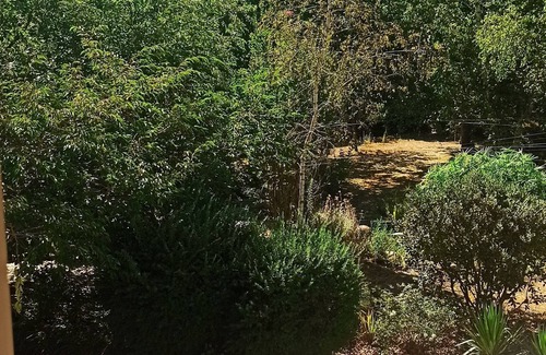 Le Porge Ski Chalet | Naturist room with swimming pool. Near Bassin dárcachon, Cap-Ferret, Médoc