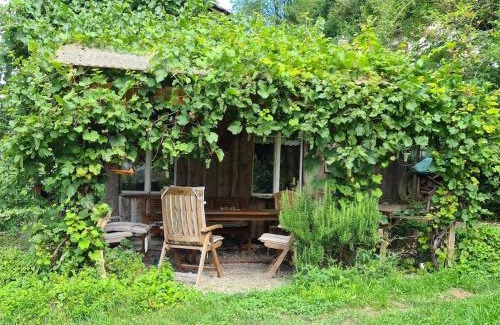Kradolf-Schonenberg Apartment | Naturoase Säntisblick-Auszeit am Wald und Bach