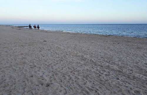 Scharbeutz Apartment | Natururlaub am Meer - Ferienwohnung EG