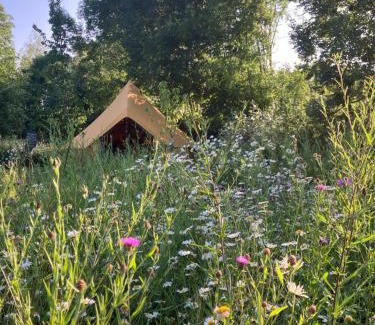 Maarkedal Other | Natuurglamping 't Wijland
