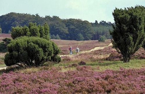 Oisterwijk Ski Chalet | Natuurhuisje Oisterwijk Valkenbosch