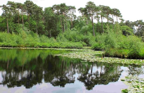 Oisterwijk Ski Chalet | Natuurhuisje Oisterwijk Valkenbosch